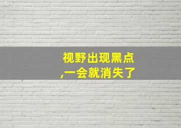 视野出现黑点,一会就消失了