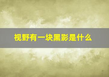 视野有一块黑影是什么