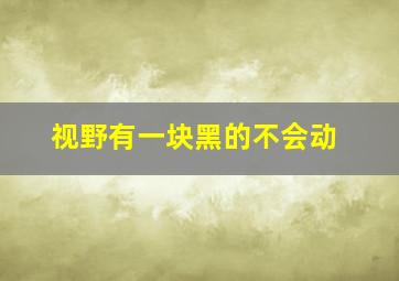 视野有一块黑的不会动