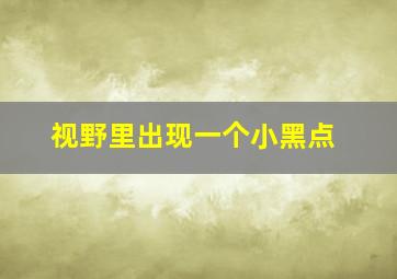 视野里出现一个小黑点