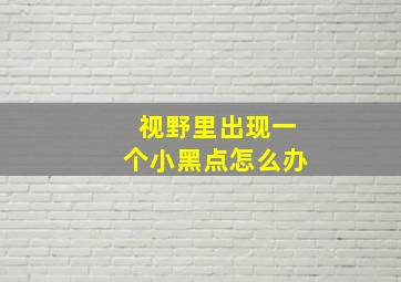 视野里出现一个小黑点怎么办