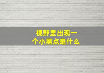 视野里出现一个小黑点是什么