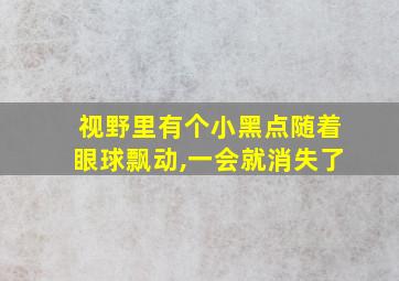 视野里有个小黑点随着眼球飘动,一会就消失了