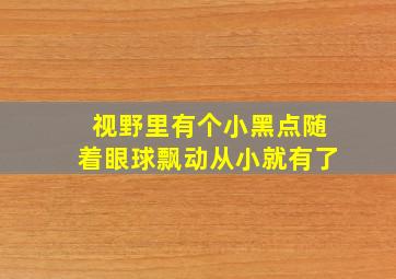 视野里有个小黑点随着眼球飘动从小就有了