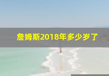 詹姆斯2018年多少岁了