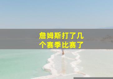 詹姆斯打了几个赛季比赛了