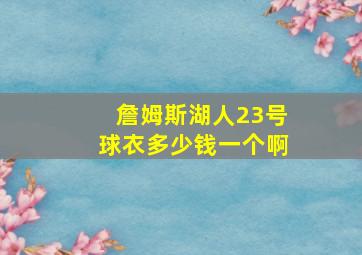 詹姆斯湖人23号球衣多少钱一个啊