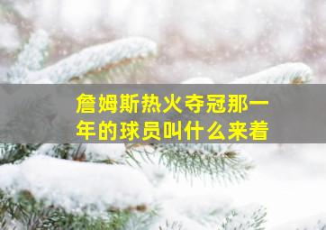 詹姆斯热火夺冠那一年的球员叫什么来着