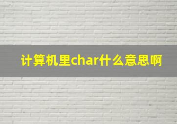 计算机里char什么意思啊