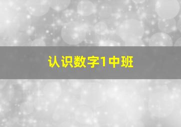 认识数字1中班