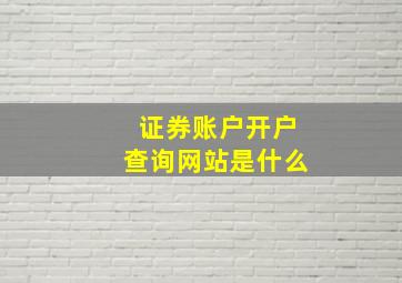 证券账户开户查询网站是什么