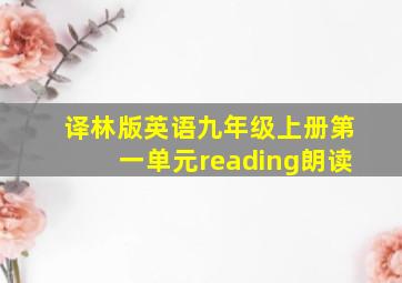 译林版英语九年级上册第一单元reading朗读