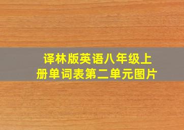 译林版英语八年级上册单词表第二单元图片