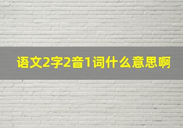 语文2字2音1词什么意思啊