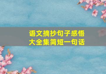 语文摘抄句子感悟大全集简短一句话