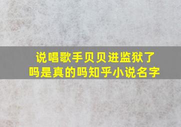 说唱歌手贝贝进监狱了吗是真的吗知乎小说名字