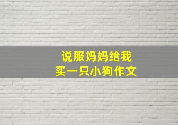 说服妈妈给我买一只小狗作文