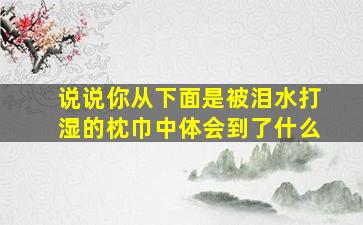 说说你从下面是被泪水打湿的枕巾中体会到了什么