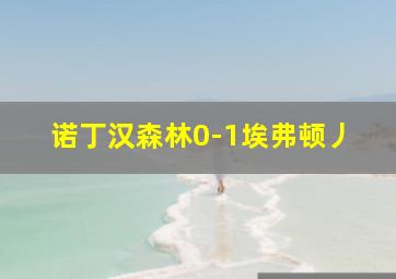 诺丁汉森林0-1埃弗顿丿