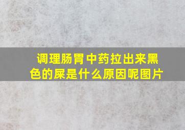 调理肠胃中药拉出来黑色的屎是什么原因呢图片