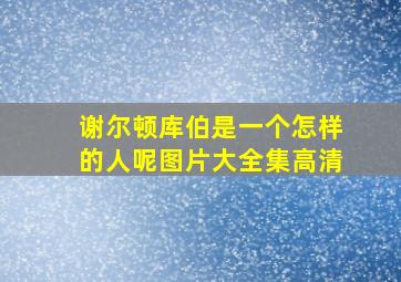 谢尔顿库伯是一个怎样的人呢图片大全集高清