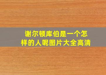 谢尔顿库伯是一个怎样的人呢图片大全高清