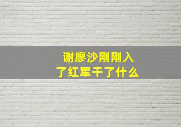 谢廖沙刚刚入了红军干了什么