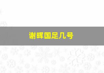 谢晖国足几号