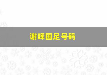 谢晖国足号码