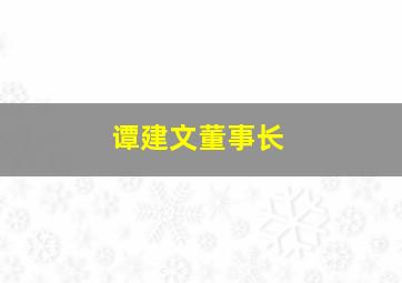 谭建文董事长