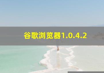 谷歌浏览器1.0.4.2