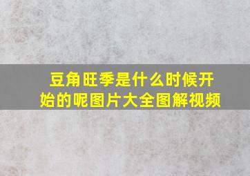 豆角旺季是什么时候开始的呢图片大全图解视频