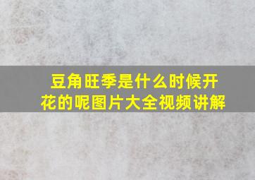 豆角旺季是什么时候开花的呢图片大全视频讲解