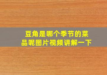 豆角是哪个季节的菜品呢图片视频讲解一下