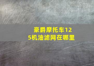 豪爵摩托车125机油滤网在哪里