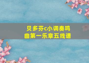 贝多芬c小调奏鸣曲第一乐章五线谱