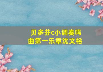 贝多芬c小调奏鸣曲第一乐章沈文裕