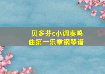 贝多芬c小调奏鸣曲第一乐章钢琴谱