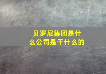 贝罗尼集团是什么公司是干什么的