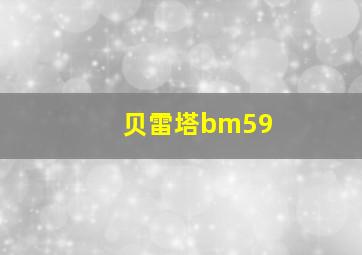 贝雷塔bm59