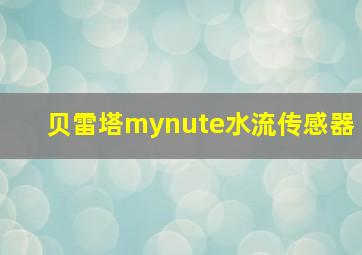 贝雷塔mynute水流传感器