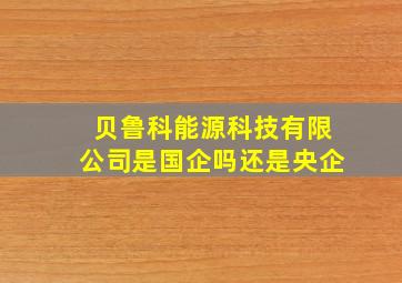 贝鲁科能源科技有限公司是国企吗还是央企