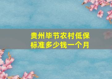 贵州毕节农村低保标准多少钱一个月