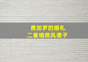 费加罗的婚礼二重唱微风谱子