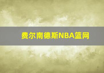 费尔南德斯NBA篮网