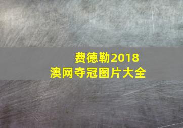 费德勒2018澳网夺冠图片大全