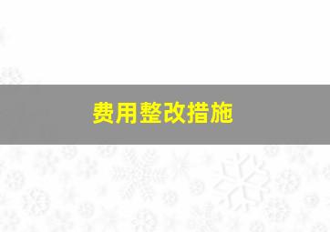 费用整改措施