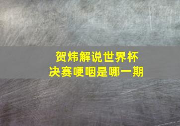 贺炜解说世界杯决赛哽咽是哪一期