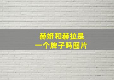 赫妍和赫拉是一个牌子吗图片