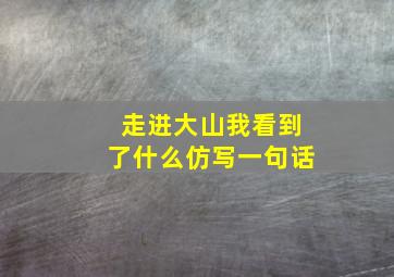 走进大山我看到了什么仿写一句话